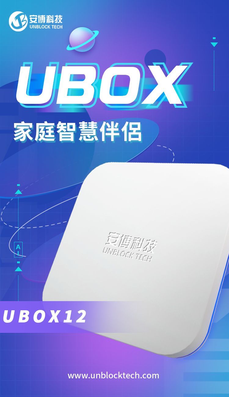 【攜帶式無線K歌音箱】安 博盒子機皇 第十二代12 PRO MAX (X19)安博電視盒台灣版4G/64GB  純淨版 安博科技