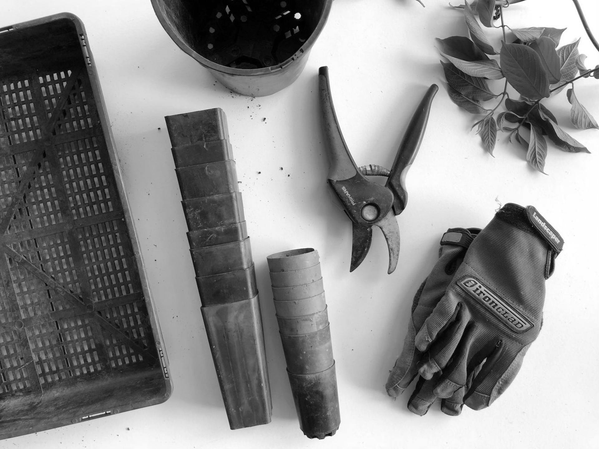 mindful multitasken