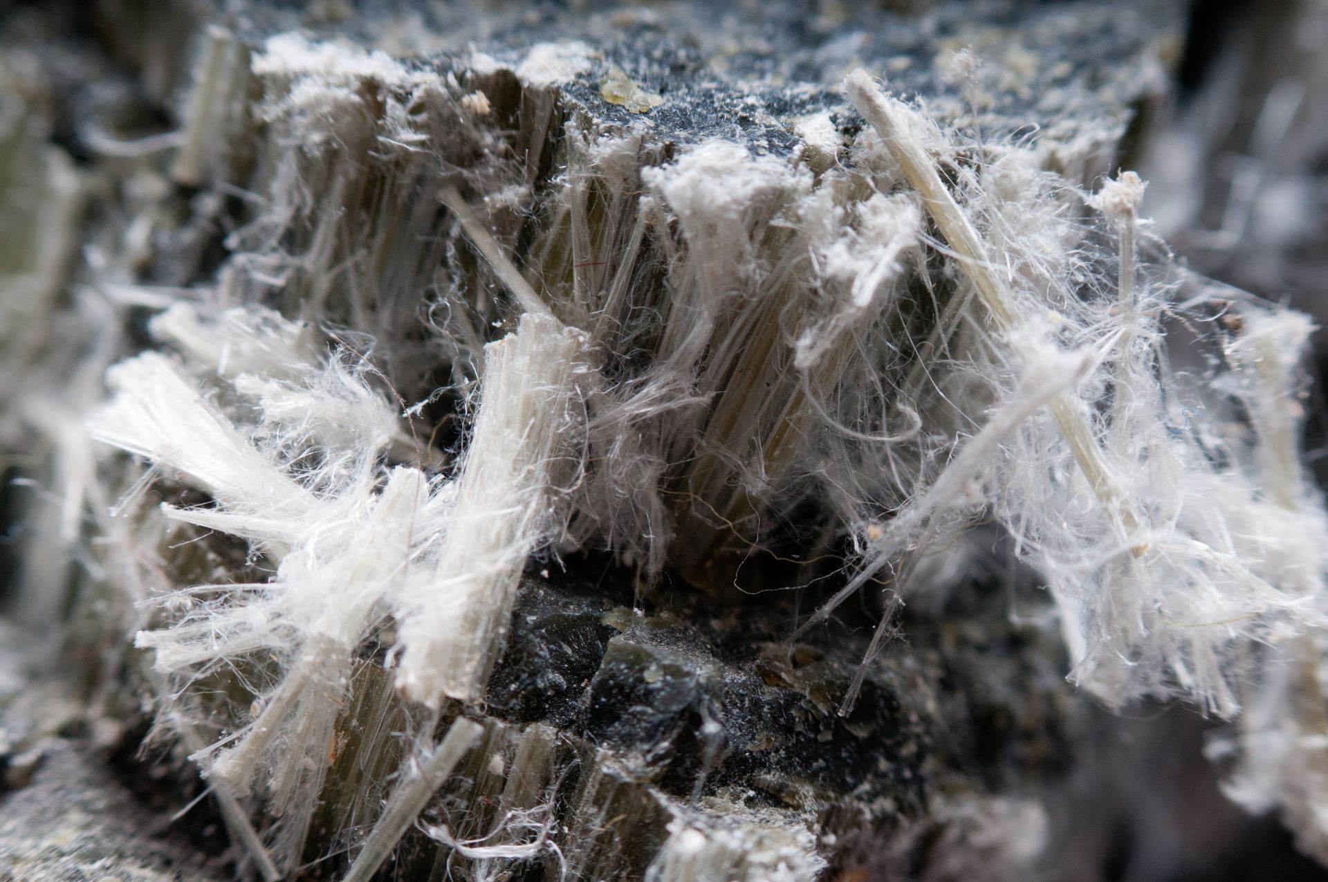 Close-up of asbestos fibres.