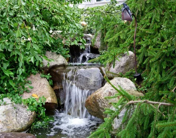 custom pond installation west bloomfield mi