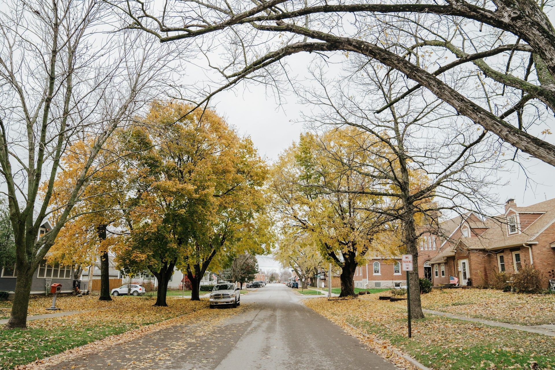 A tree-lined street in autumn; yellow and green leaves, a few cars, brick houses.