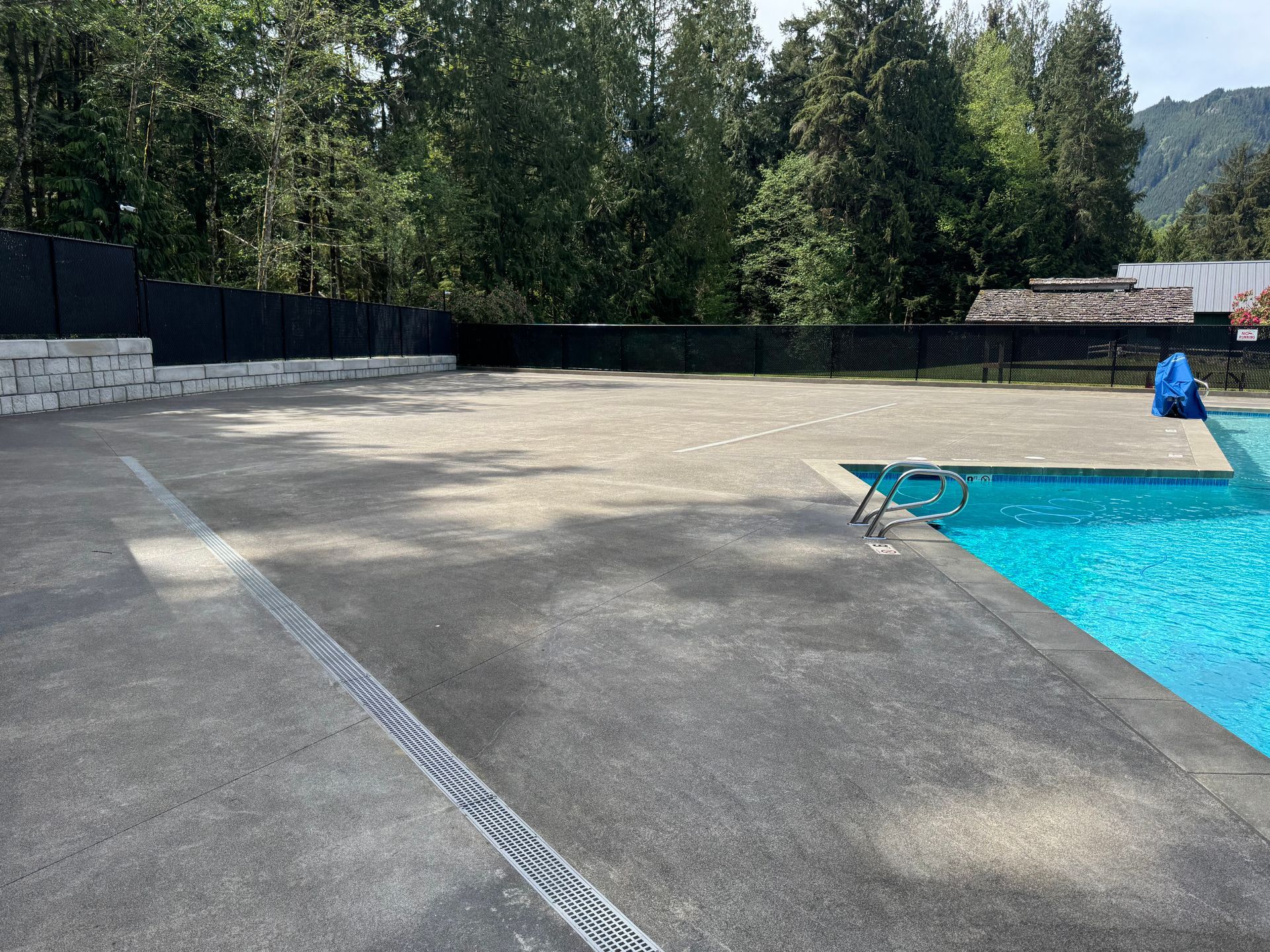 A large swimming pool is surrounded by trees and a concrete deck.