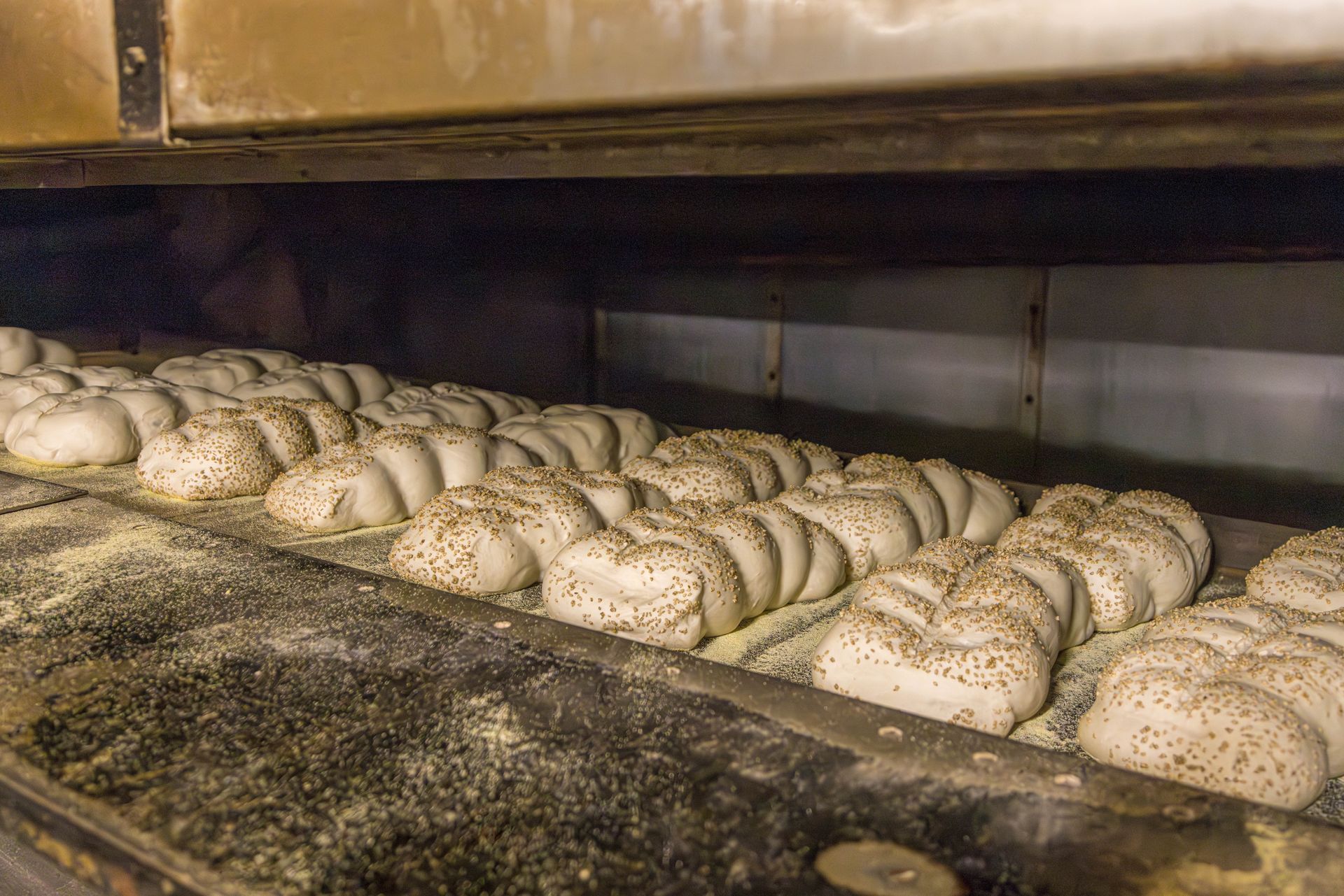 Bread in the oven cooking