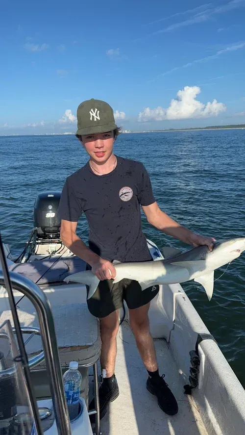 Young person on a boat holding a small shark they caught, with water and sky in the background.