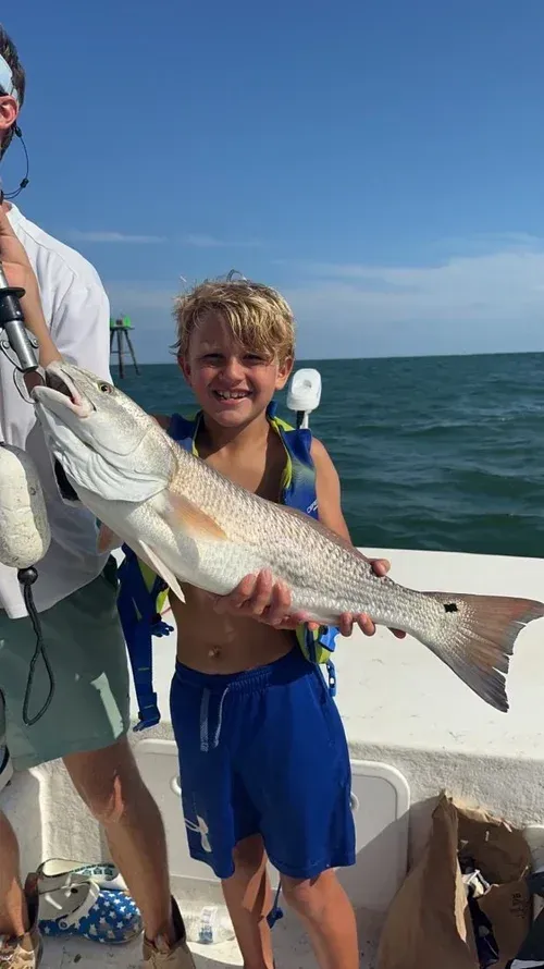 Boy smiles holding a large redfish on a boat near water.