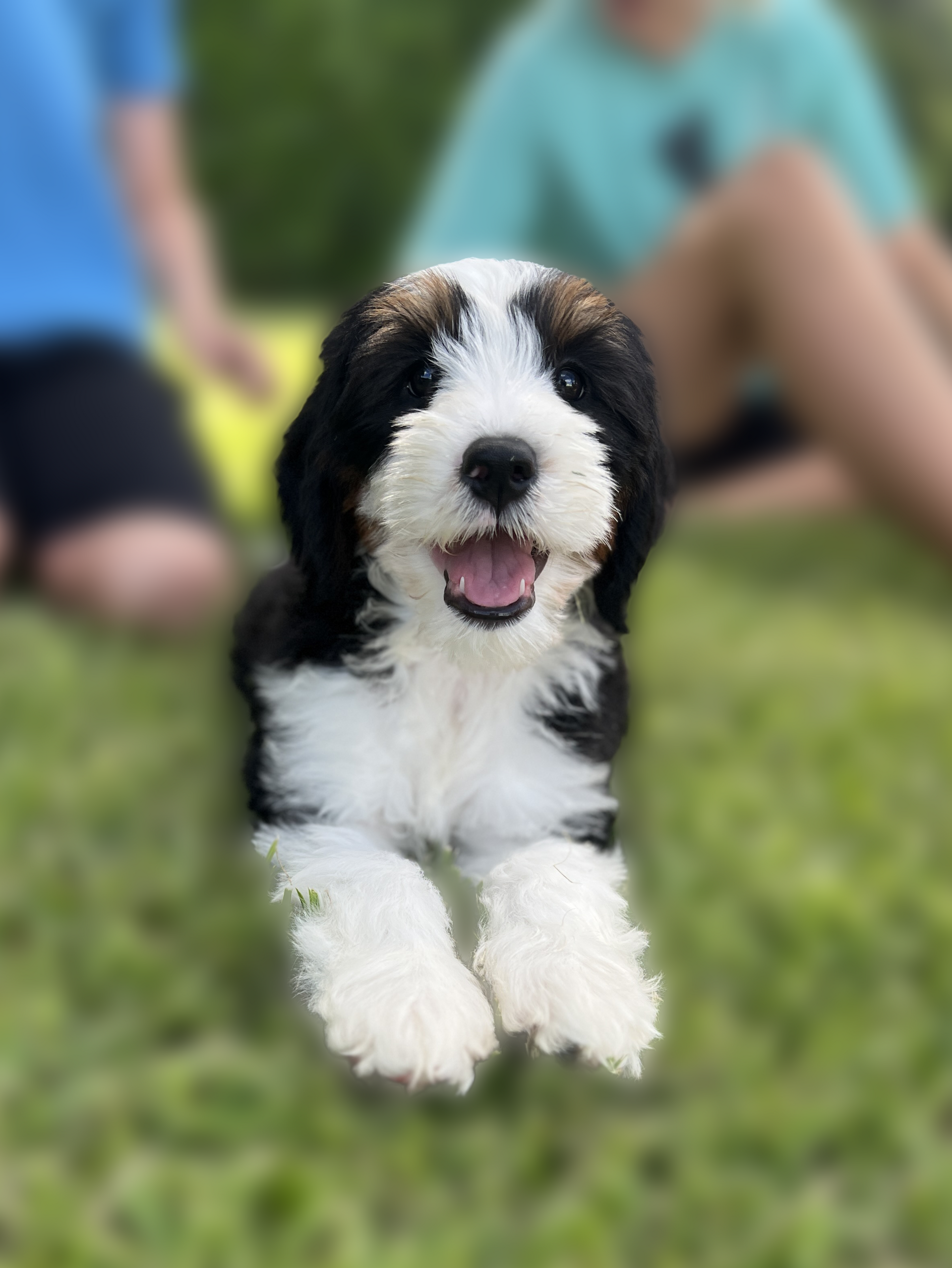 LULA MAE