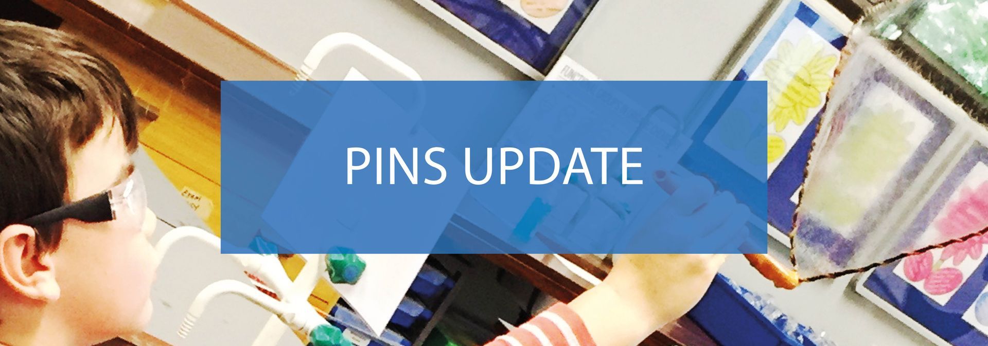 The PINS (Partnership for Inclusion of Neurodiversity in Schools) project is now underway.