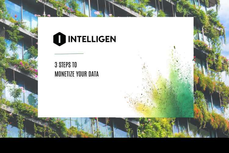 3 Steps To Data Monetization — Intelligen Group Blog