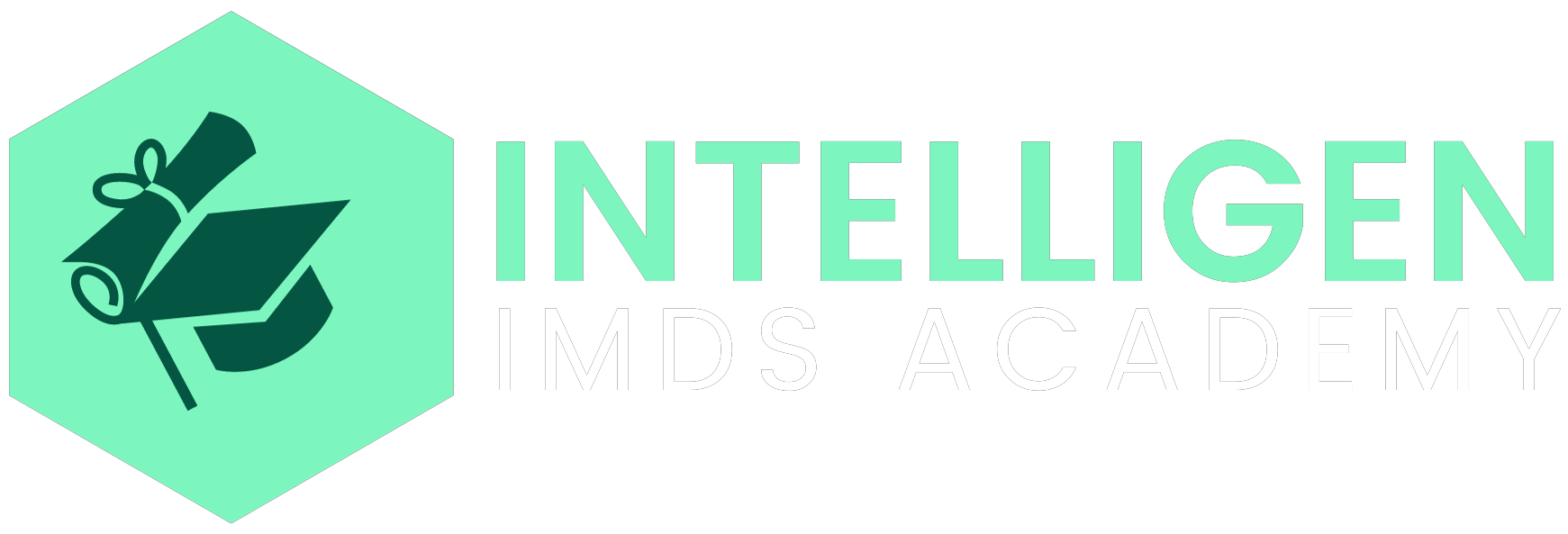 IMDS Academy – Intelligen