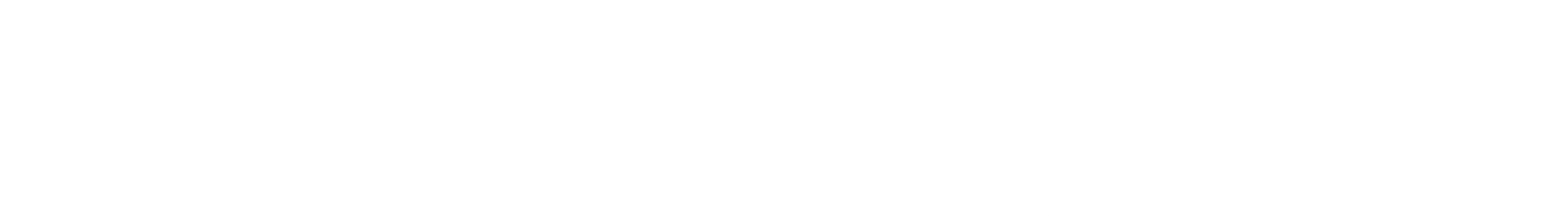 Logo Palmirotta Oronzo