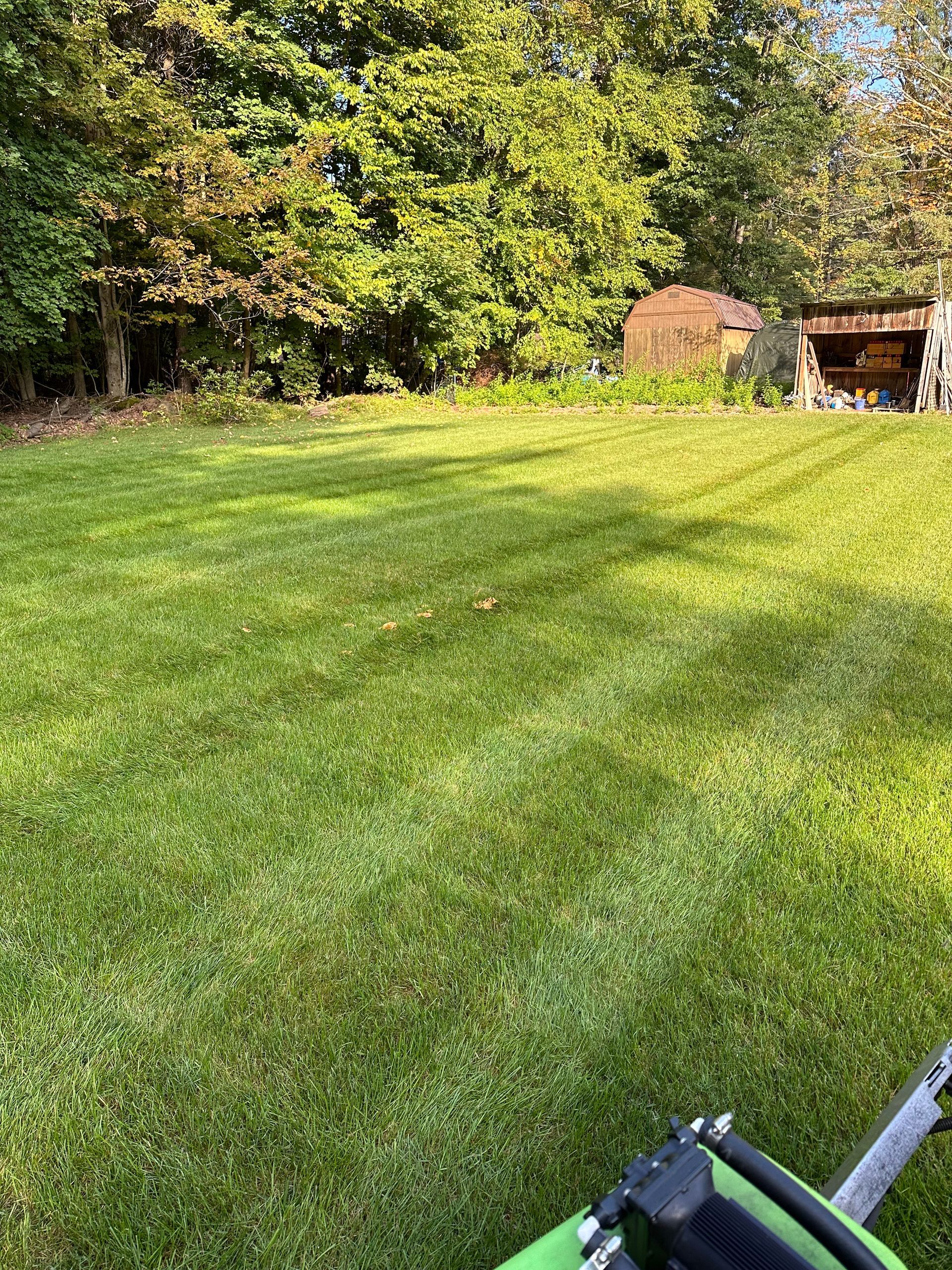 A green lawn mower is sitting on top of a lush green lawn.