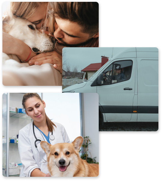 Veterinary Partners