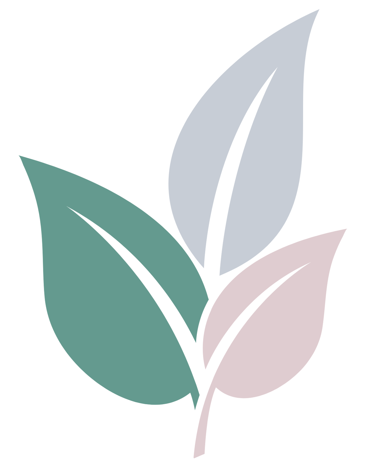 Logo Dr. Valerie Reinisch