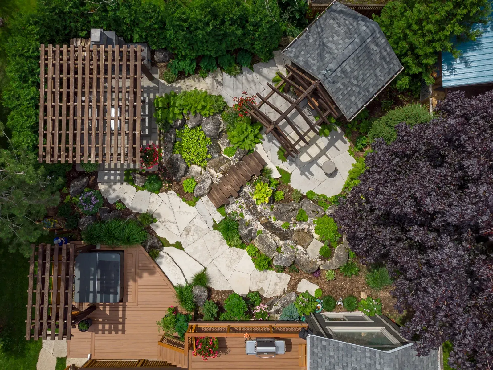 An aerial view of a backyard filled with lots of plants and trees.