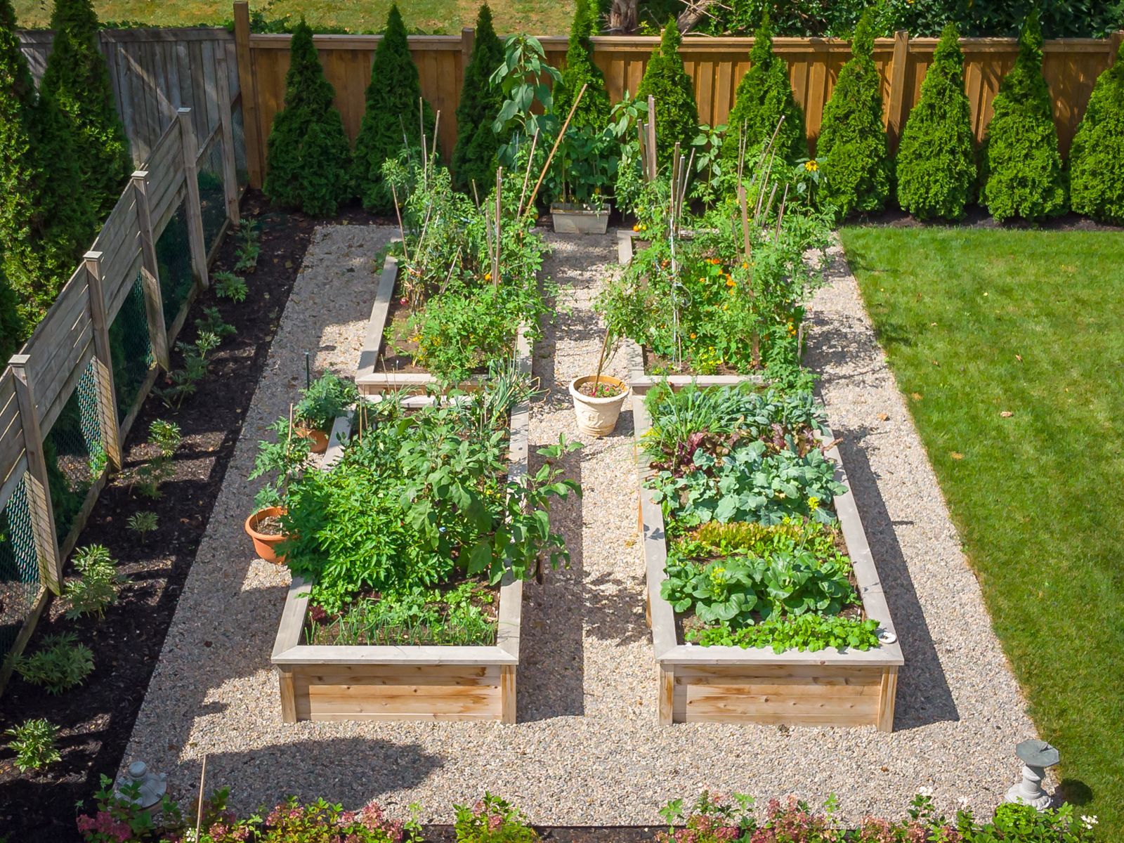 An aerial view of a garden filled with lots of plants.