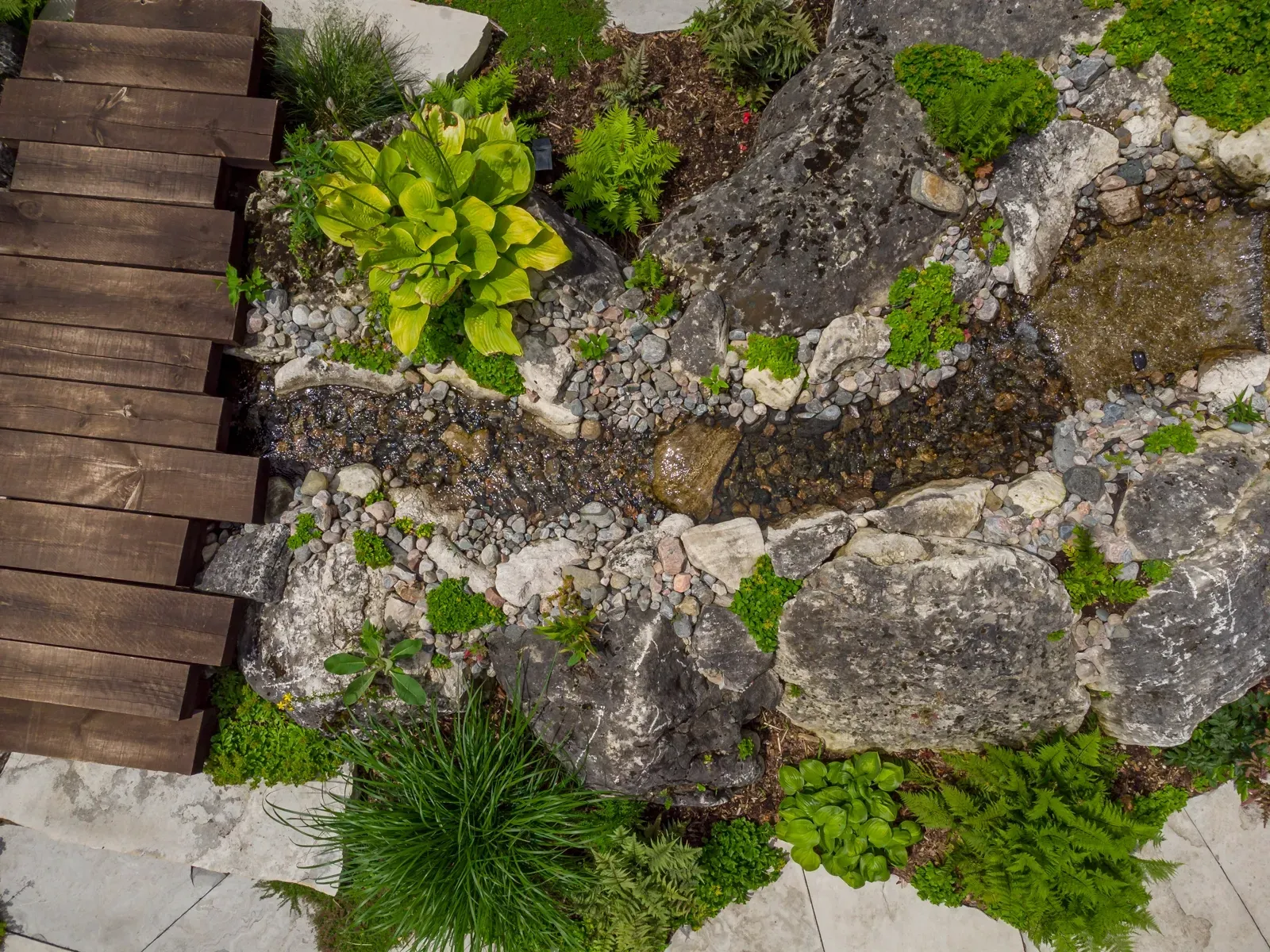 A wooden bridge is surrounded by rocks and plants in a garden.
