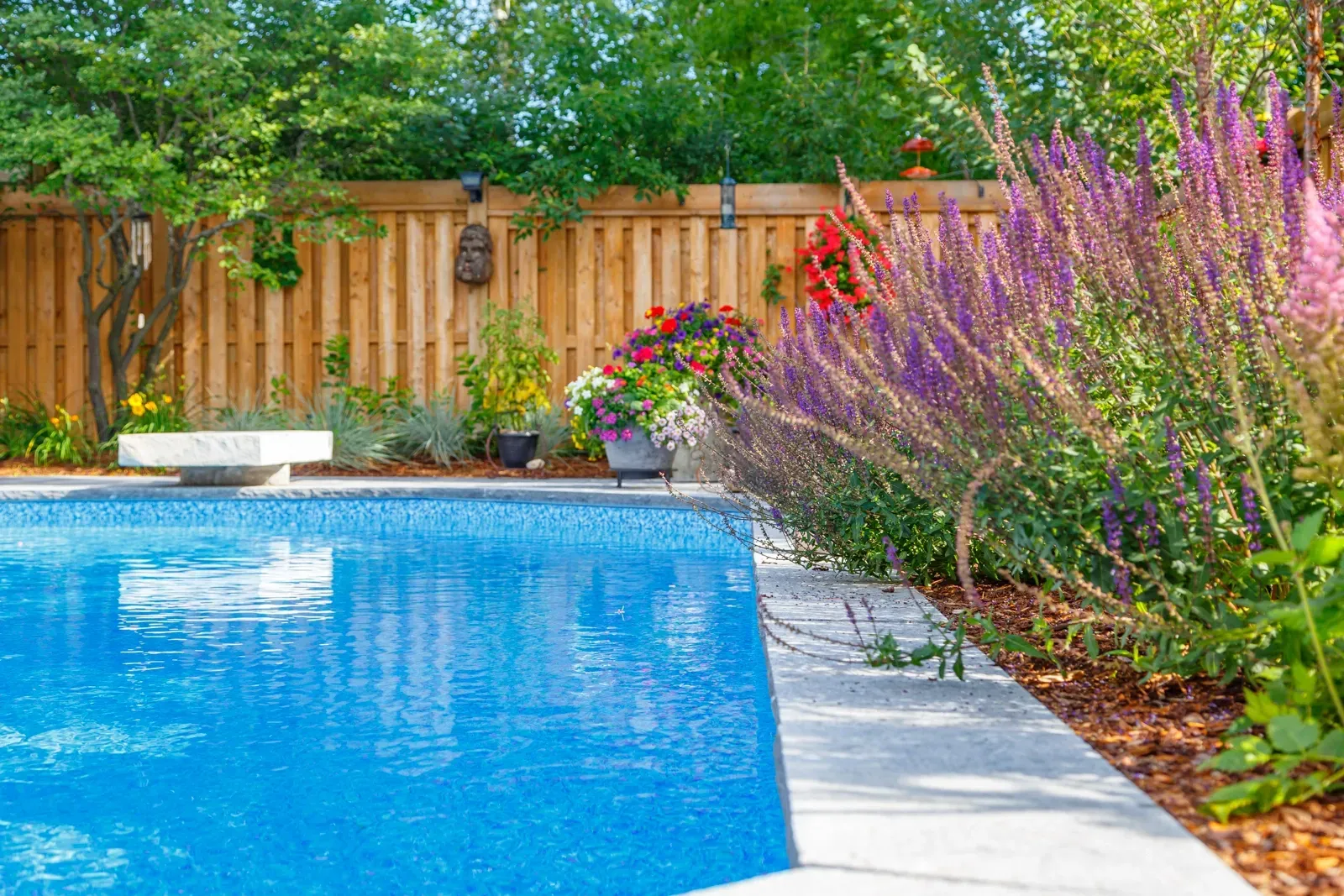 A large swimming pool surrounded by flowers and a wooden fence.
