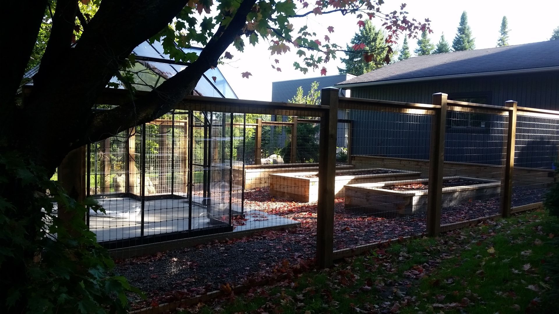 A wooden fence surrounds a greenhouse in a backyard.