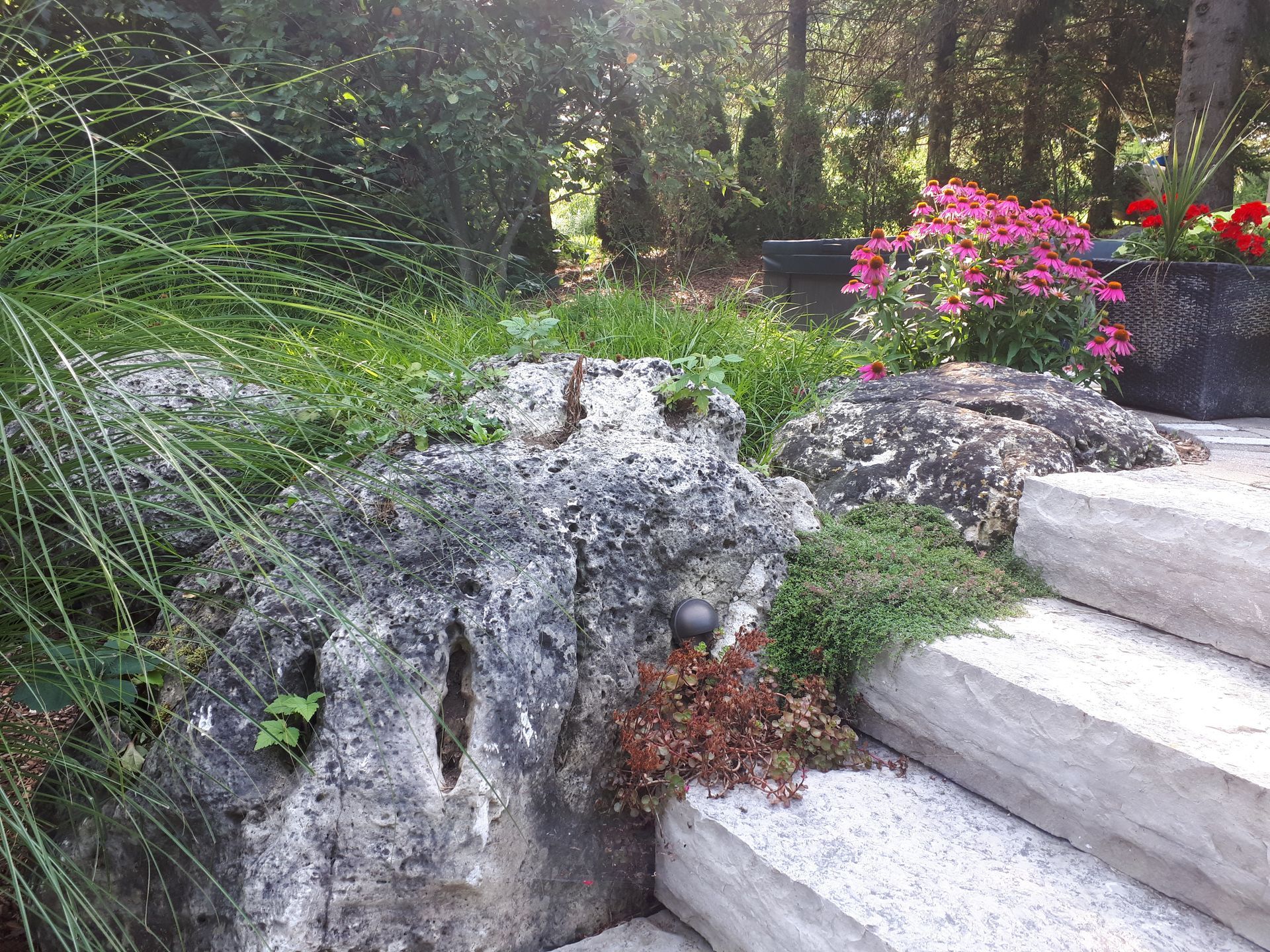 A set of stairs leading up to a rock in a garden.