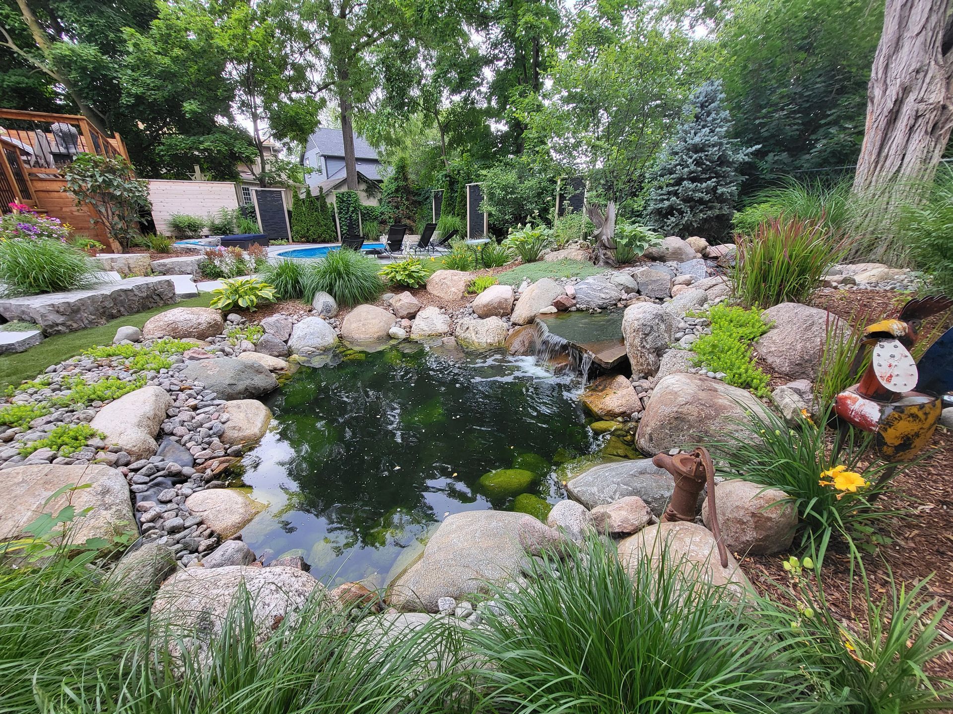 A pond surrounded by rocks and plants in a garden.