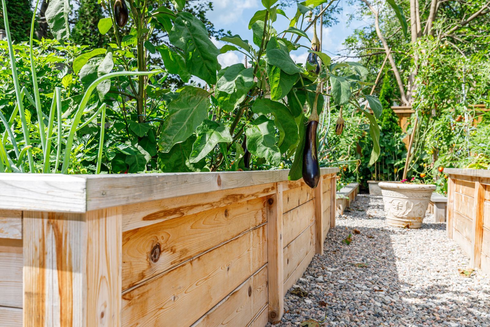 A wooden planter filled with plants in a garden.