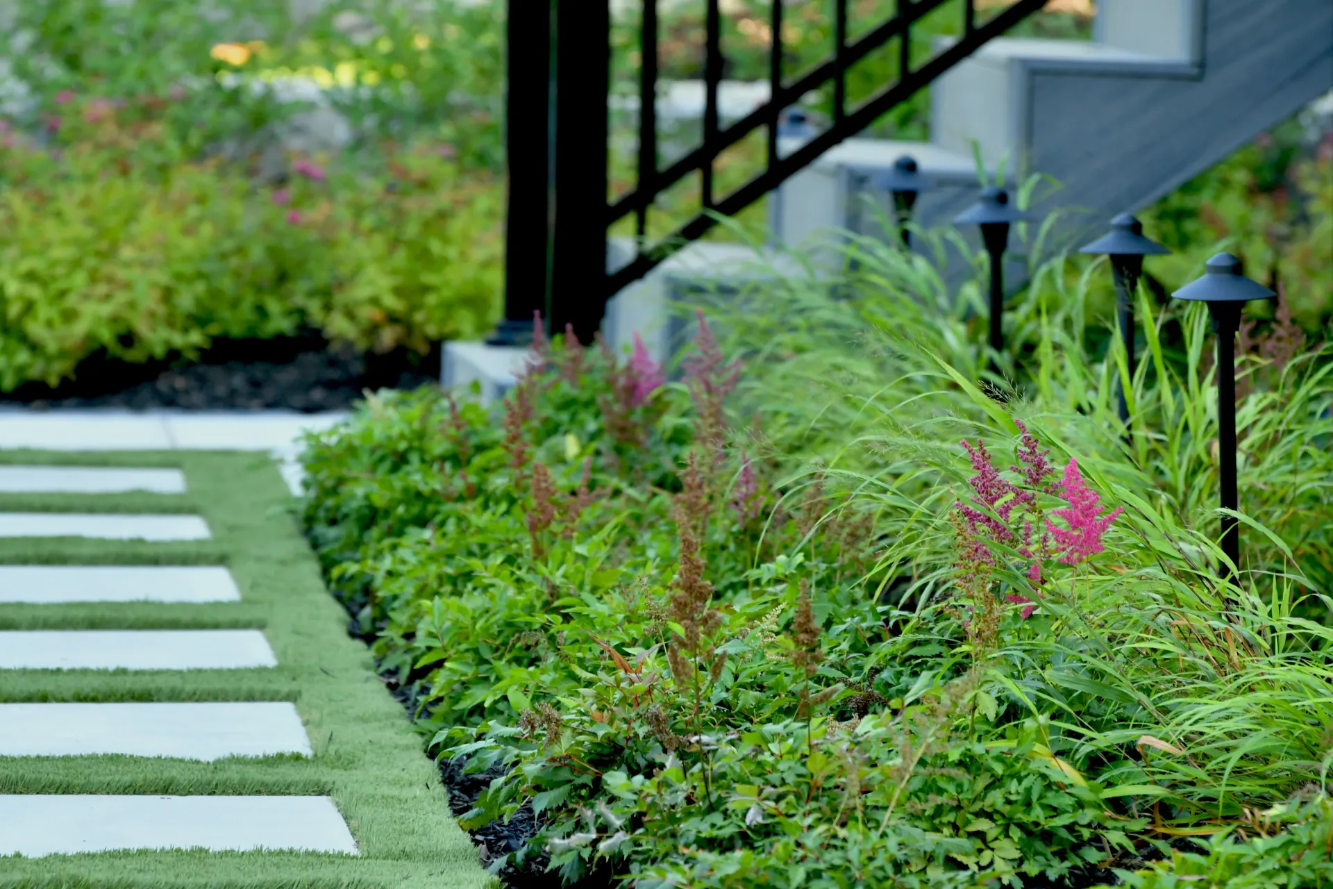 A lush green garden with a walkway and stairs in the background.