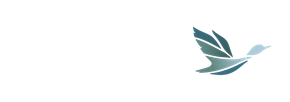 A bird is flying in the air on a white background.
