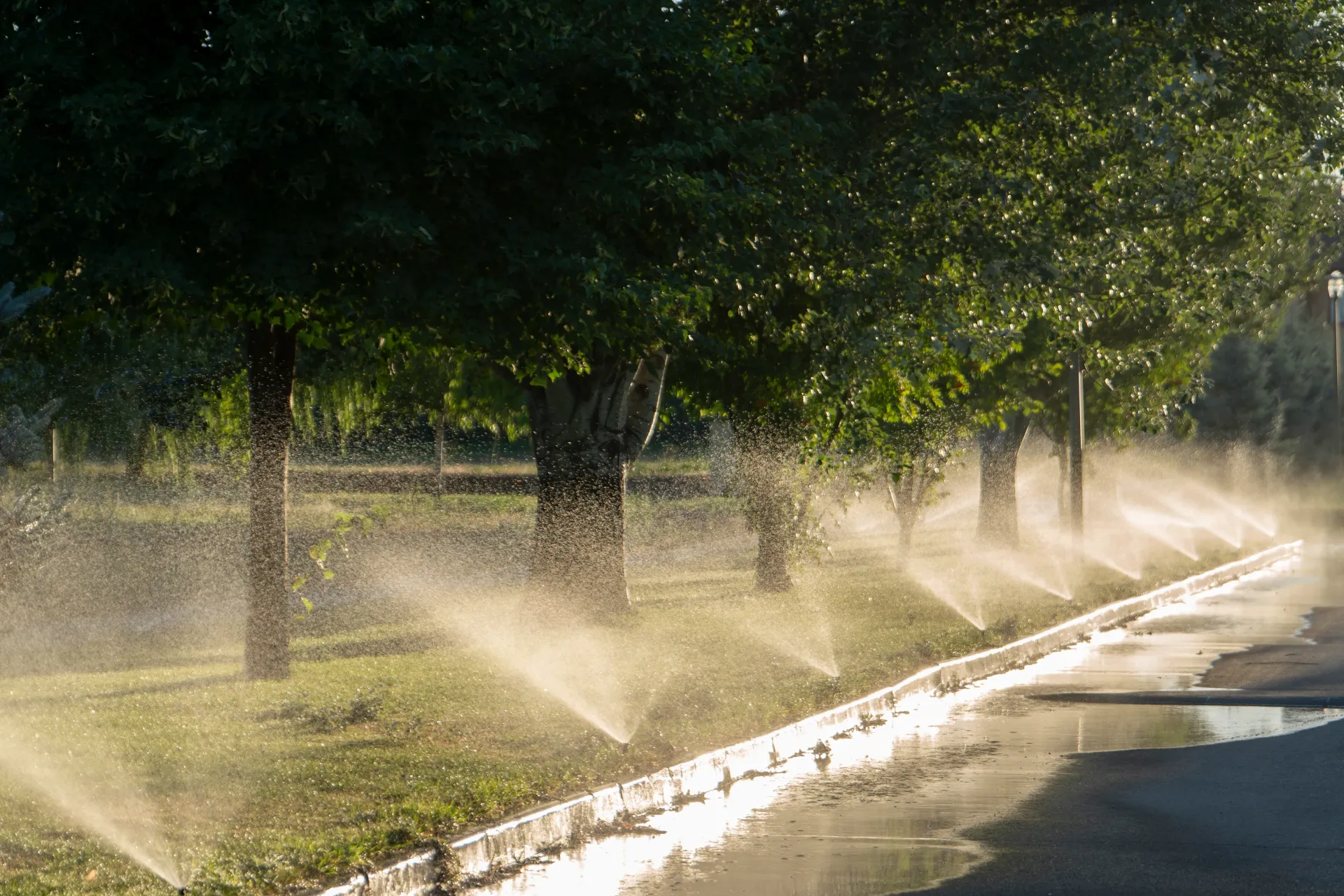 A row of sprinklers spraying water on a lush green field.