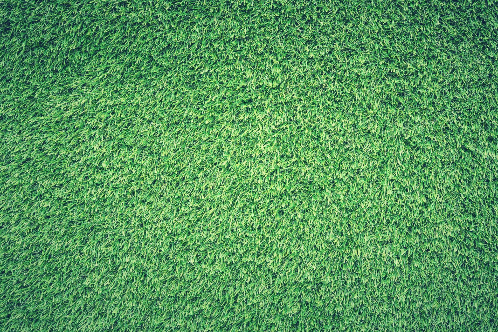 A close up of a green carpet texture.