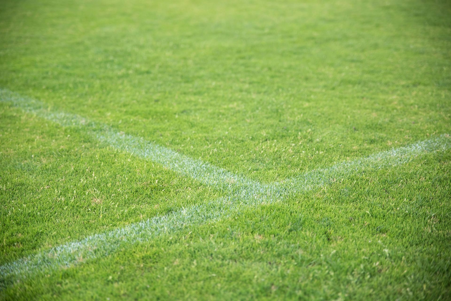 A soccer field with a white line on the grass.