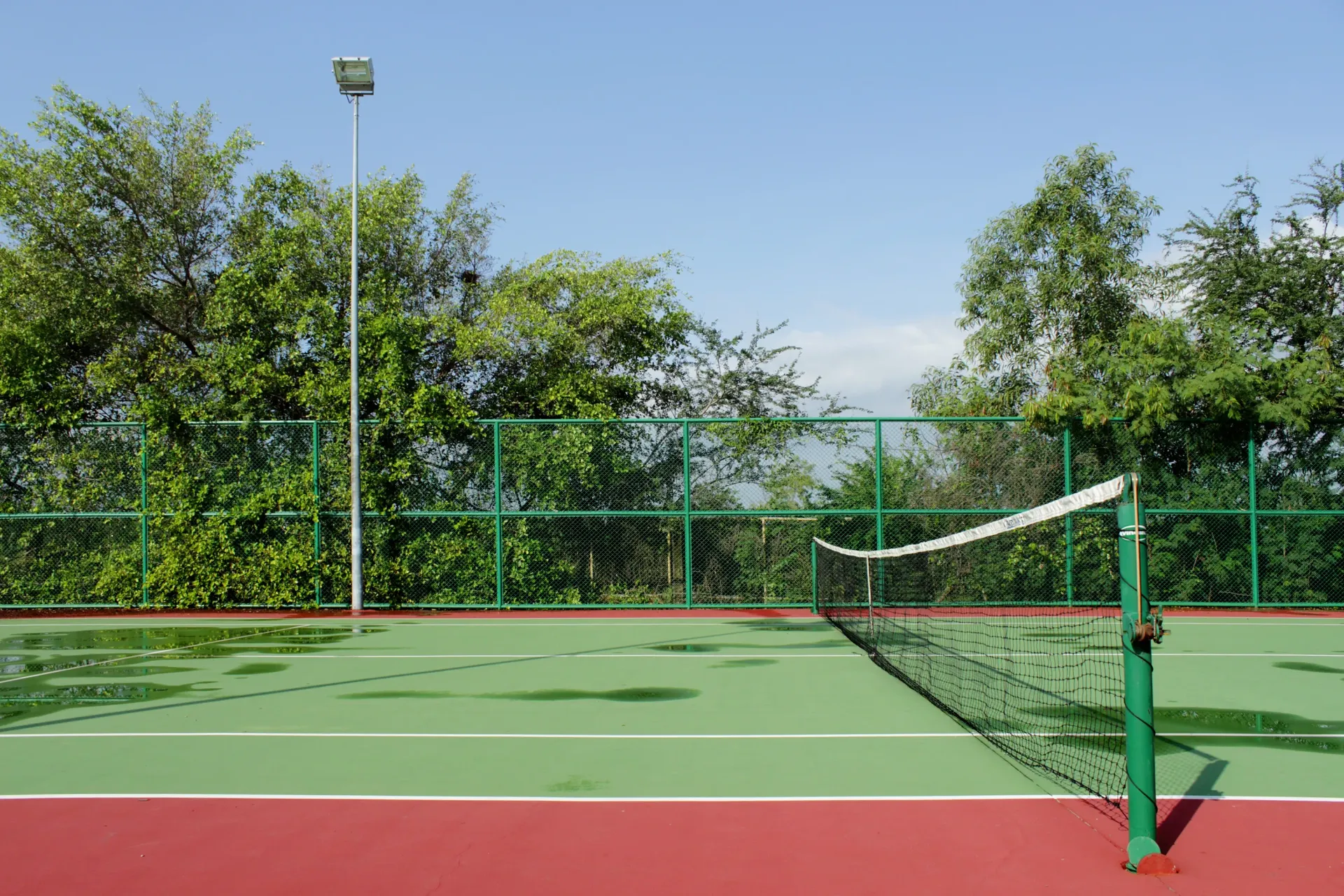 An empty tennis court with trees in the background