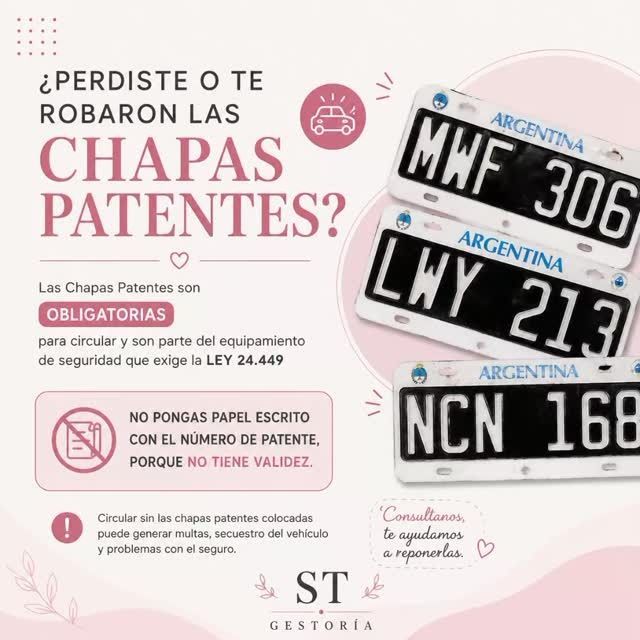 Infografía en rosa sobre chapas patentes obligatorias en Argentina, con ejemplos de patentes negras y blancas.
