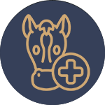Veterinary Referrals