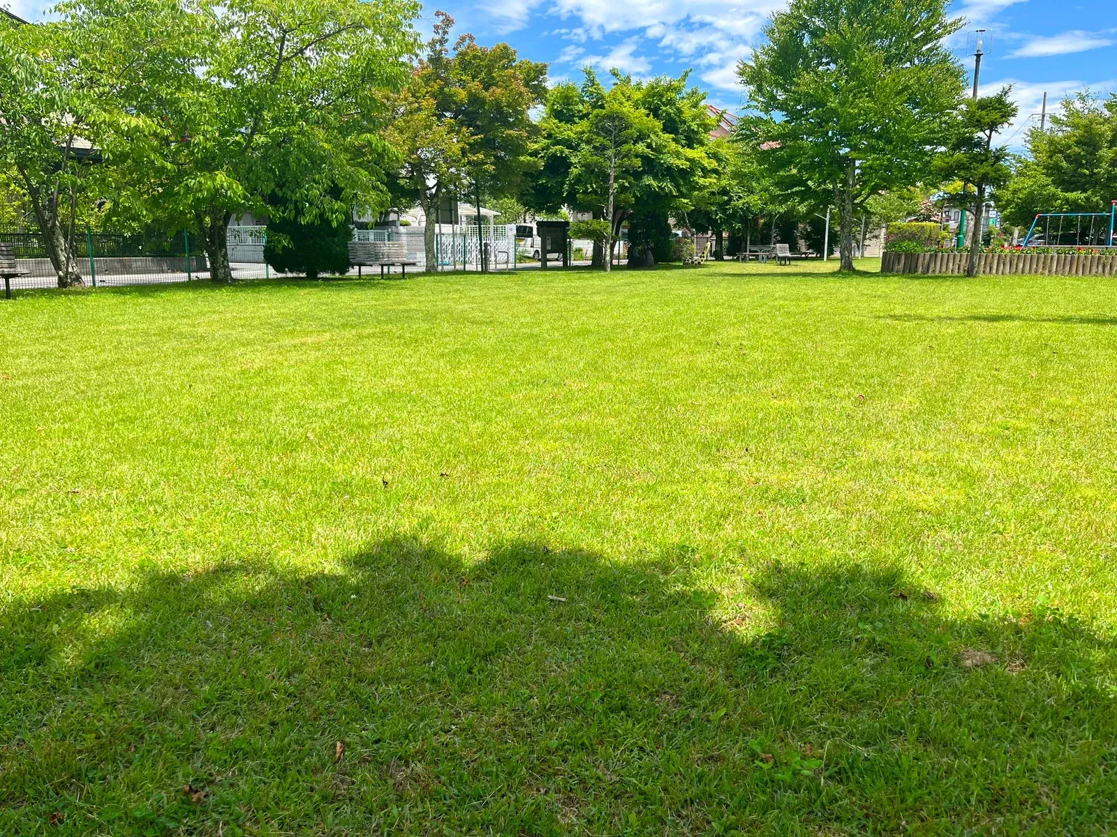 Green lawn with trees in a park, blue sky with clouds overhead. Shadows cast on the grass.