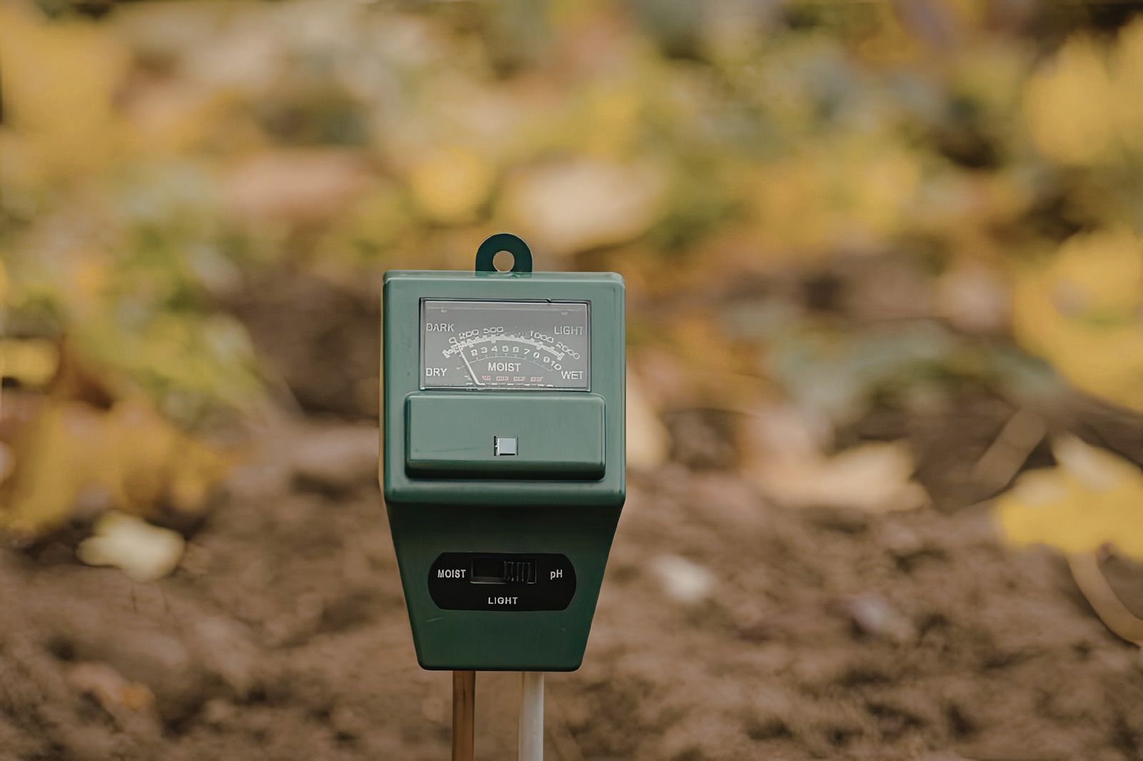 Green pest repeller device in outdoor setting.