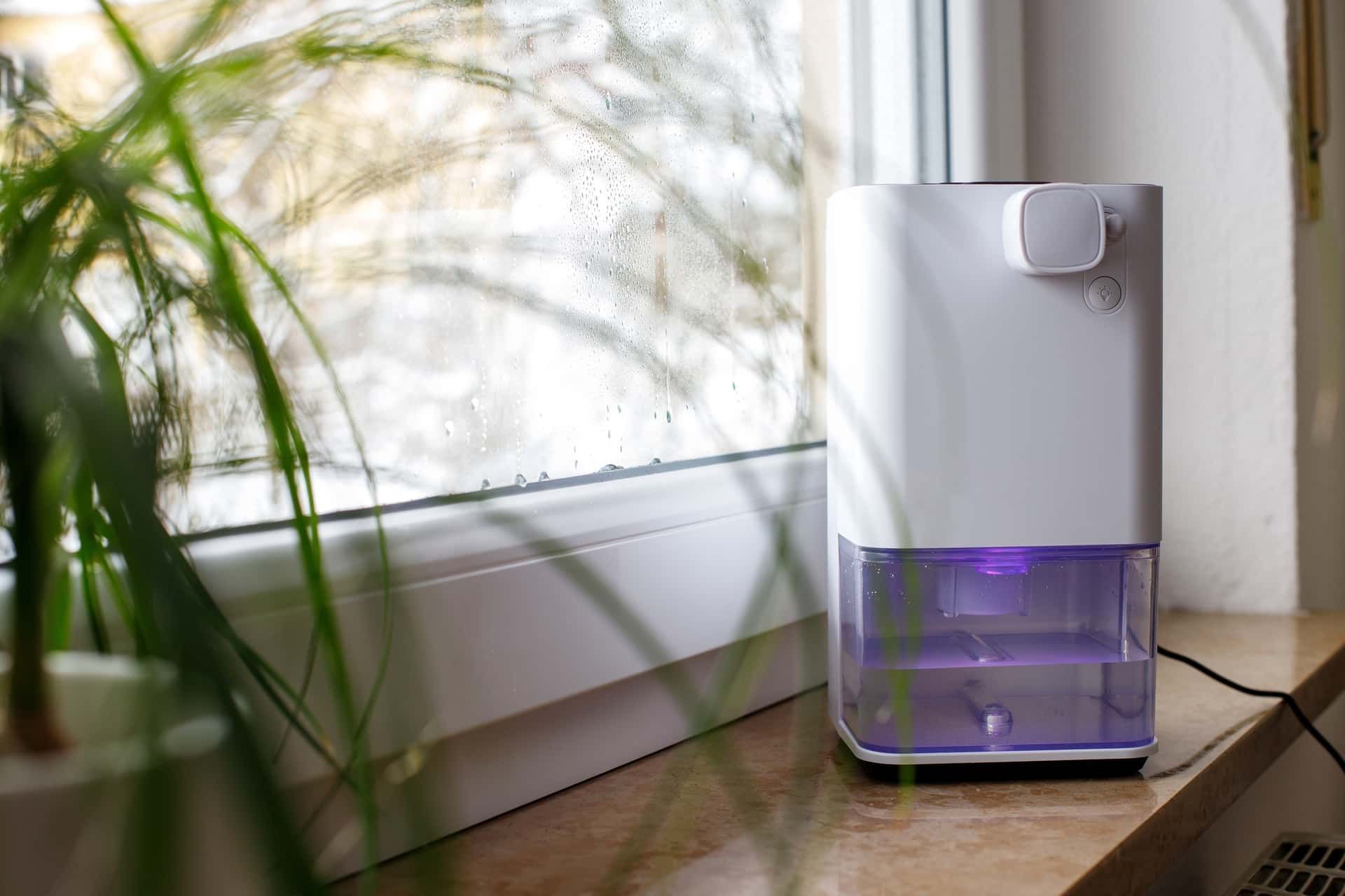 How Does a Whole House Dehumidifier Work?