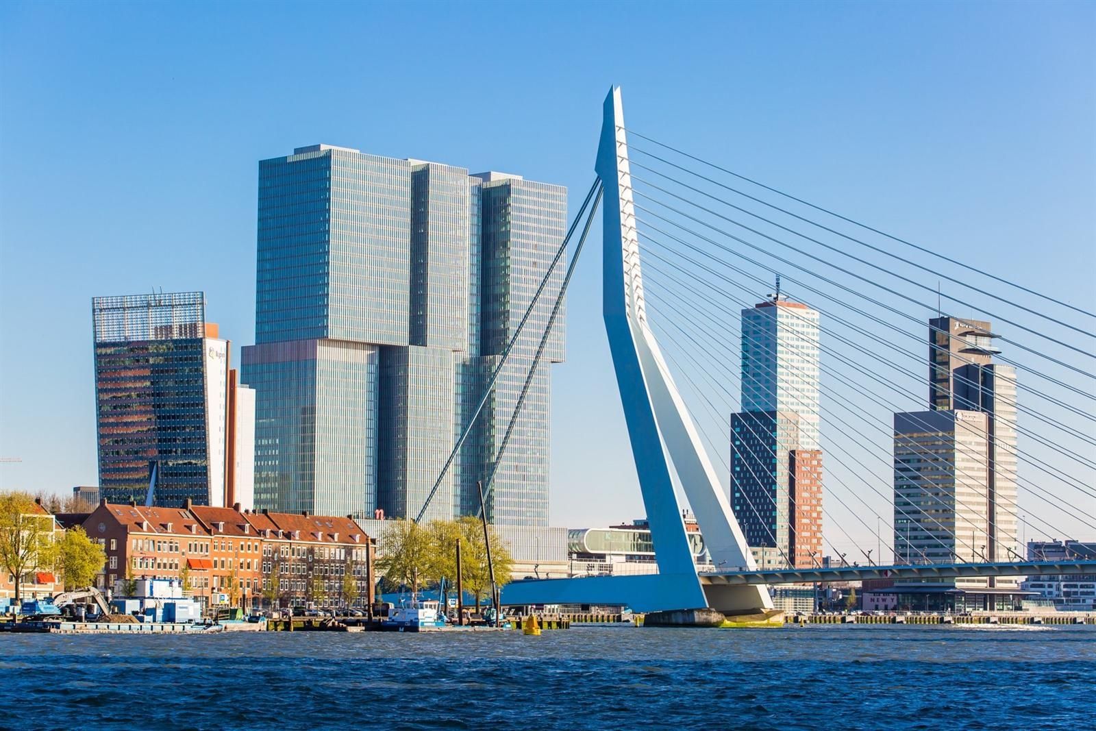 Een brug over een water met de skyline van een stad op de achtergrond.