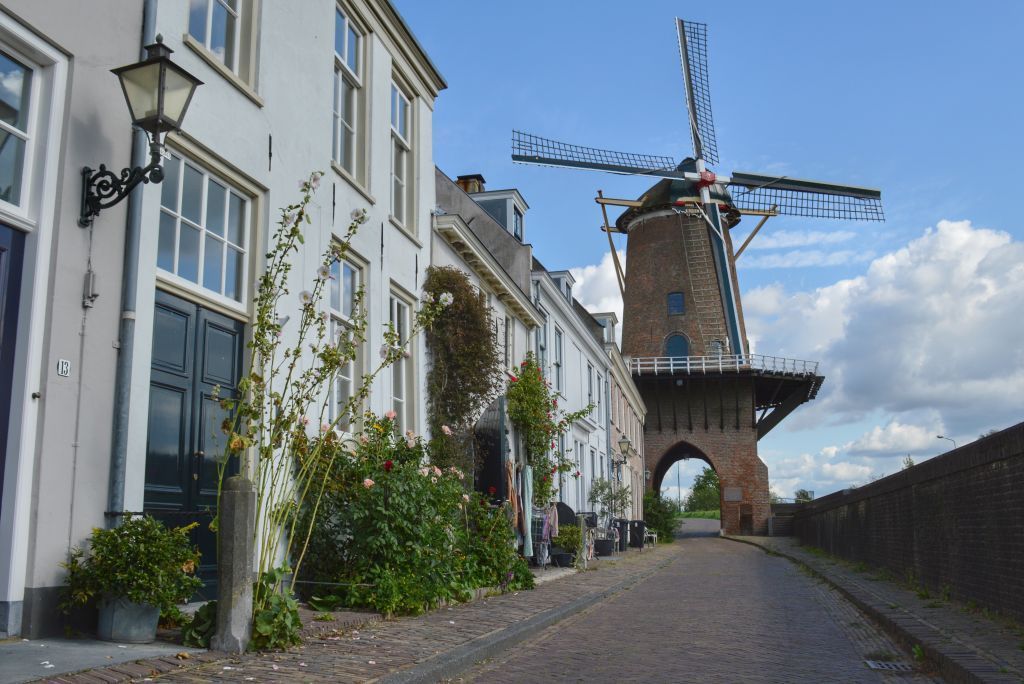 Een windmolen staat in het midden van een rij gebouwen