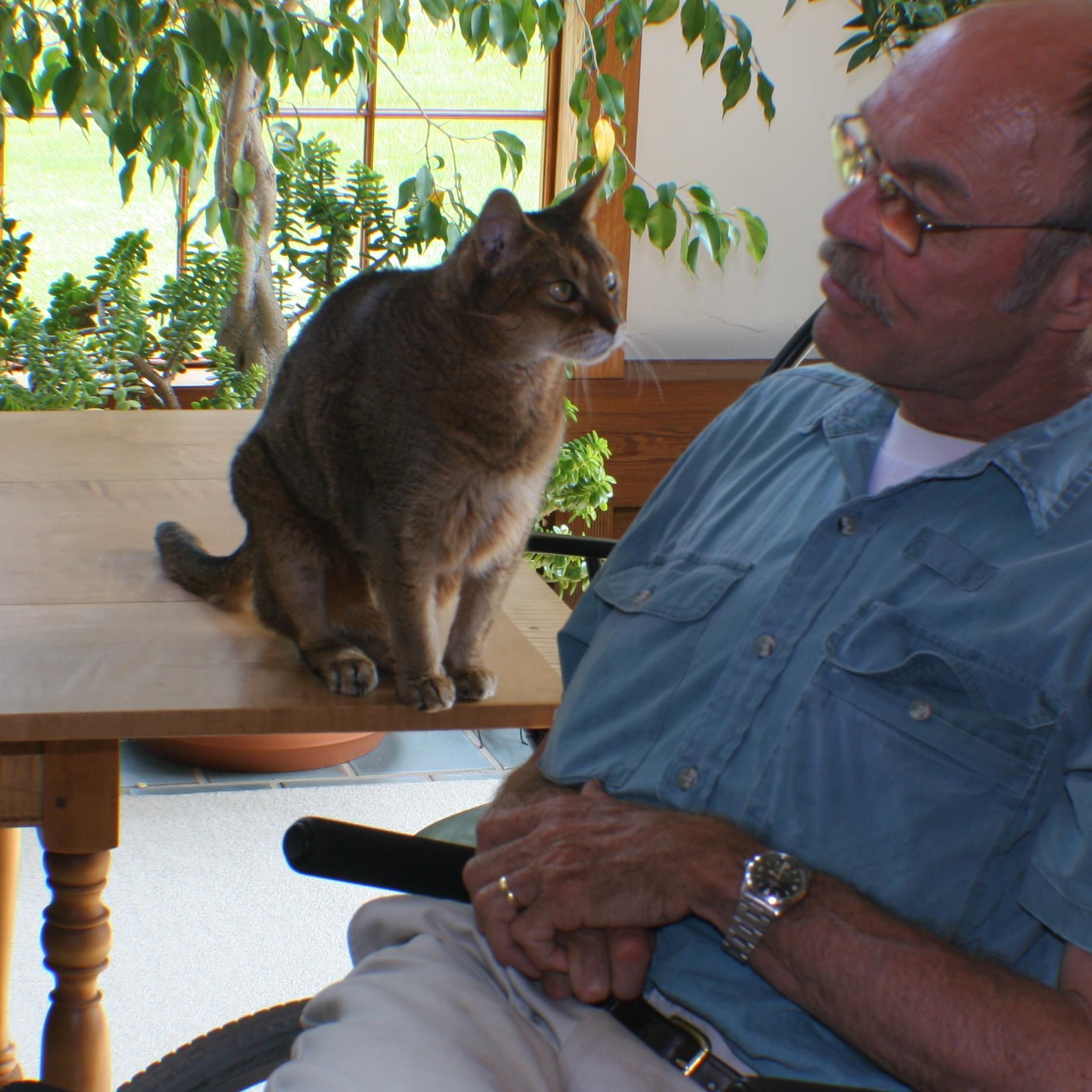 A man sitting at a table with a cat sitting on top of it