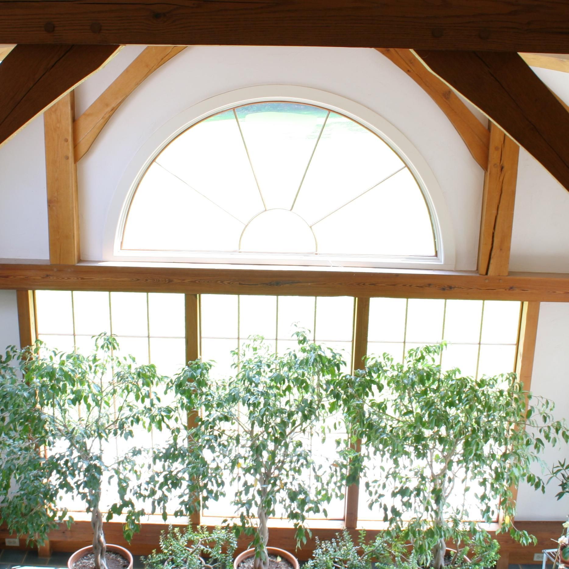A row of potted plants in front of an arched window