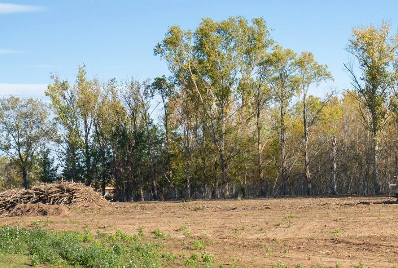 Dawsonville Land Clearing