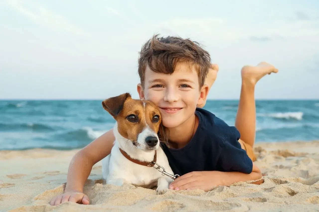 Wish Natal Acomodações