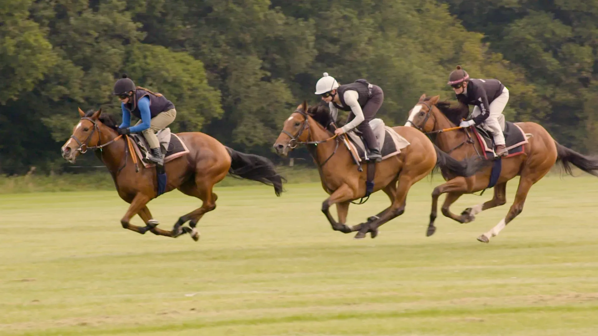 Three people are riding horses in a field.
