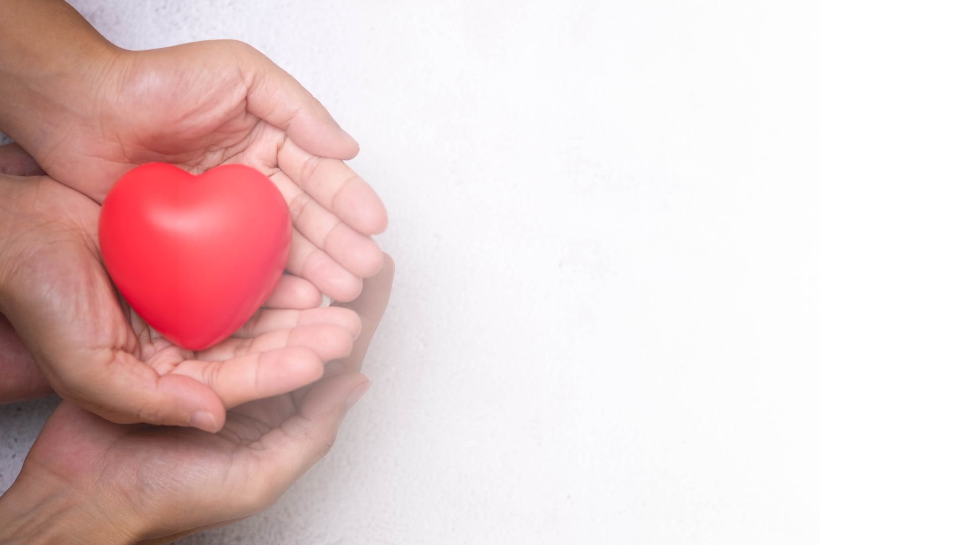 Hands cradling a red heart, offering care and support.