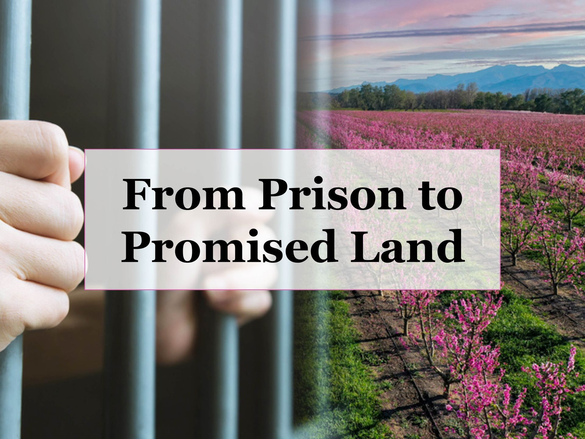 Person holding bars, text