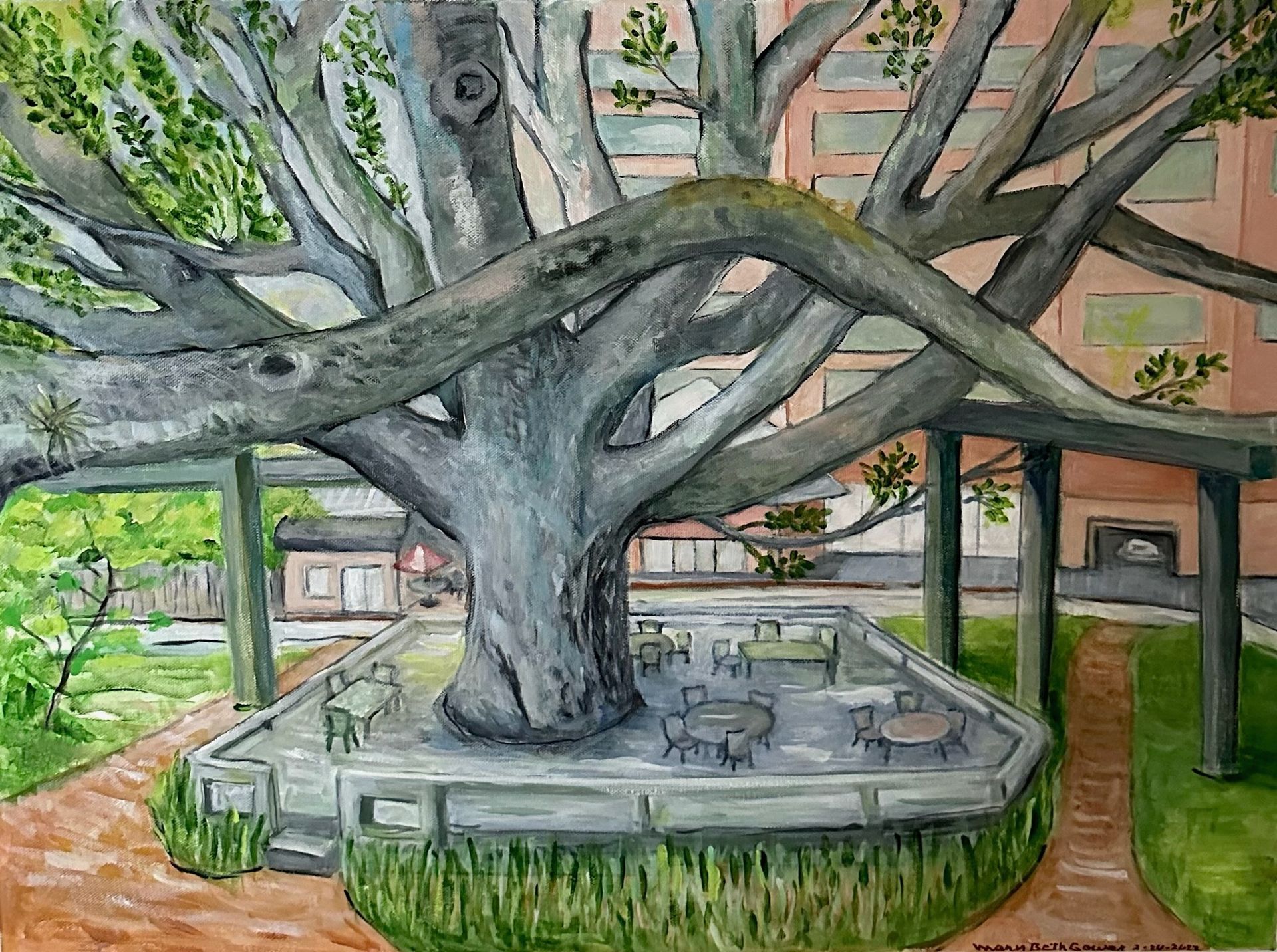 Large sprawling tree encircled by a stone bench in a courtyard, with lush greenery and buildings behind.