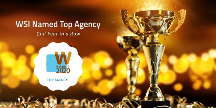 WSI Top Agency by Web Marketing Association