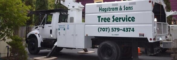 Service Truck - Tree Service contractor in Santa Rosa, CA