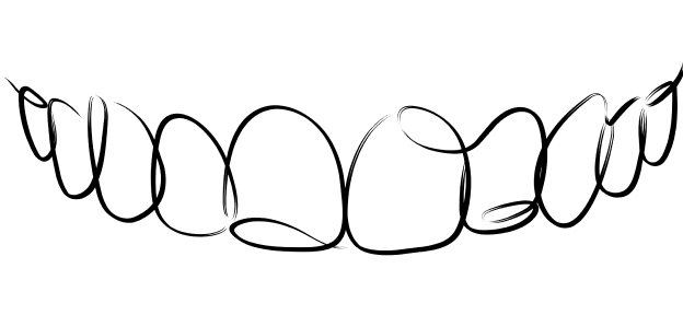 A line drawing of a top row of teeth