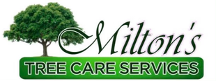 Tree service company serving Upper Marlboro, MD and surrounding areas